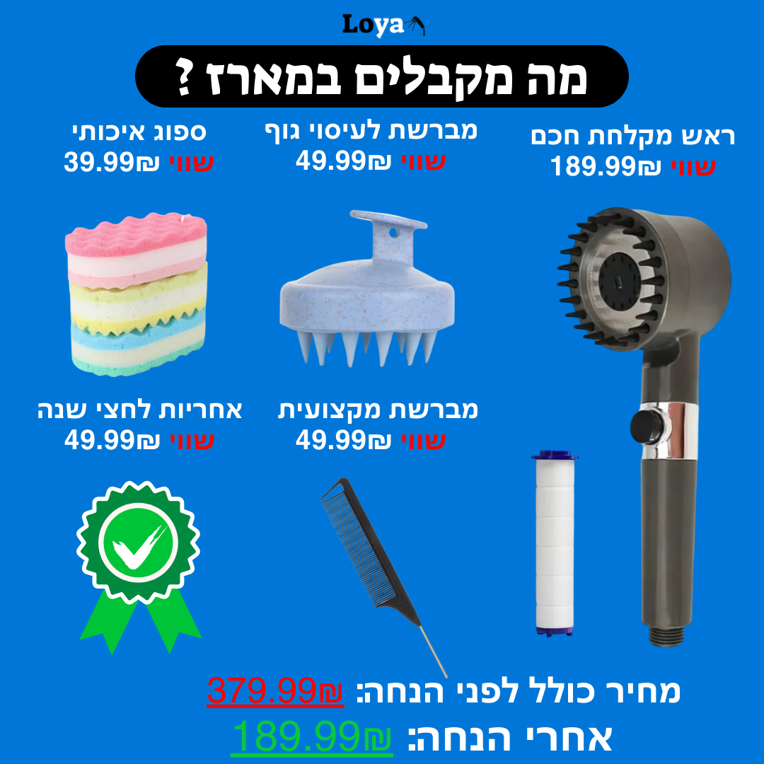 המארז של לויה